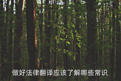 法律文本的翻譯技巧和方法，做好法律翻譯應該了解哪些常識