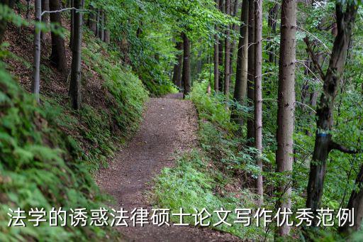 法學(xué)的誘惑法律碩士論文寫(xiě)作優(yōu)秀范例