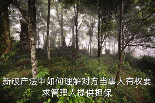 新破產(chǎn)法中如何理解對(duì)方當(dāng)事人有權(quán)要求管理人提供擔(dān)保