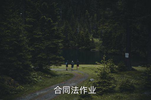 合同法作業(yè)