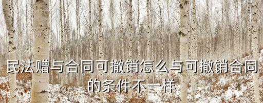 民法典關(guān)于合同可撤銷的規(guī)定，可撤銷合同的條件有哪些