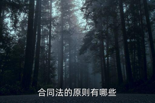合同的法律原則，合同法的原則