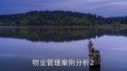 物業(yè)管理案例分析2
