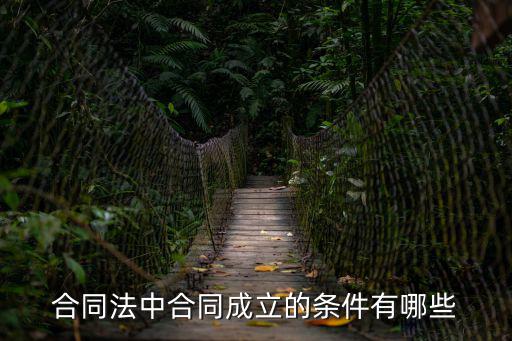 合同法合同成立，合同法合同訂立的過(guò)程是什