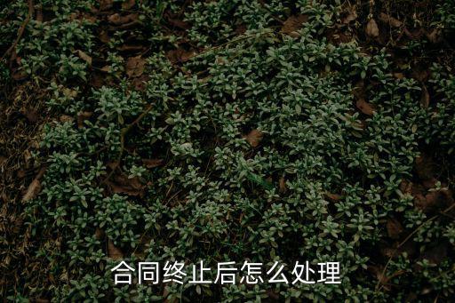 合同終止后怎么處理