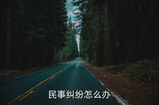 民事糾紛怎么辦