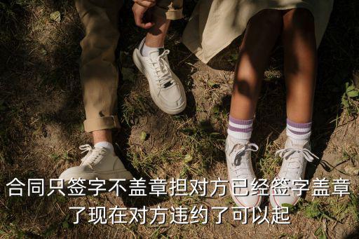 合同只簽字不蓋章?lián)鷮Ψ揭呀?jīng)簽字蓋章了現(xiàn)在對方違約了可以起