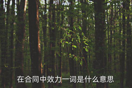 在合同中效力一詞是什么意思