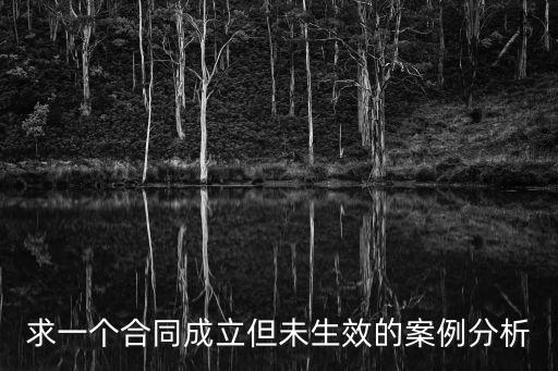 求一個(gè)合同成立但未生效的案例分析