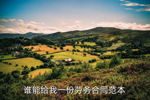 人力資源勞動合同模板，誰能給我一份勞務合同范本