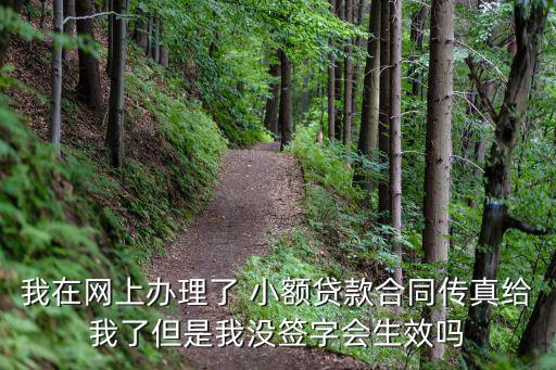 我在網(wǎng)上辦理了 小額貸款合同傳真給我了但是我沒(méi)簽字會(huì)生效嗎
