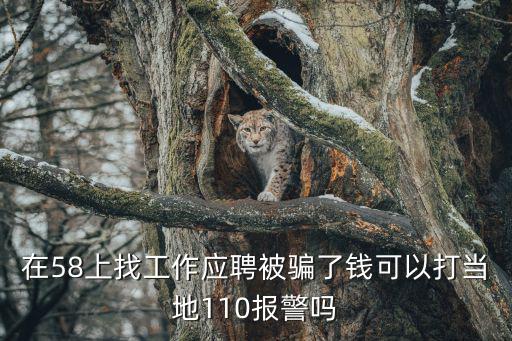 在58上找工作應(yīng)聘被騙了錢可以打當(dāng)?shù)?10報(bào)警嗎