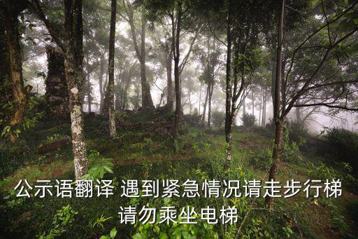 全國(guó)公示語(yǔ)翻譯語(yǔ)料庫(kù)，英語(yǔ)語(yǔ)料庫(kù)是什么