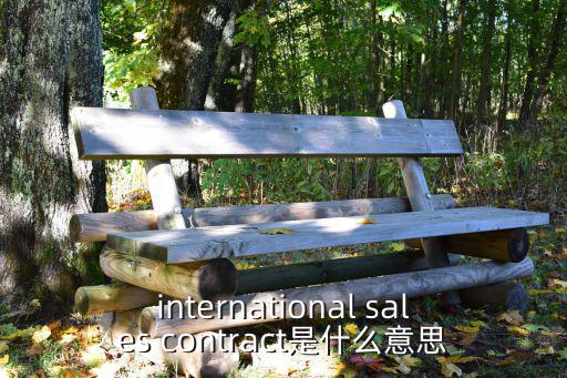international sales contract是什么意思