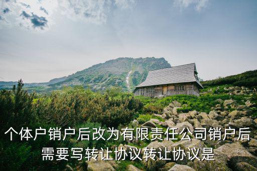 個體戶轉(zhuǎn)讓協(xié)議書范本，個體營業(yè)執(zhí)照轉(zhuǎn)讓協(xié)議書怎么寫應(yīng)包括哪些內(nèi)容