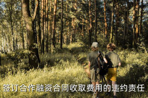 金融違約責(zé)任，金融借款合同糾紛因第三方監(jiān)管不到位承擔(dān)什么責(zé)任
