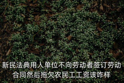 新民法典用人單位不向勞動者簽訂勞動合同然后拖欠農民工工資該咋樣