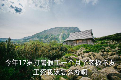 今年17歲打暑假工一個月了老板不發(fā)工資我該怎么辦啊