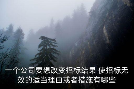 一個公司要想改變招標結果 使招標無效的適當理由或者措施有哪些