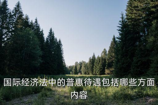 國(guó)際經(jīng)濟(jì)法中的普惠待遇包括哪些方面內(nèi)容