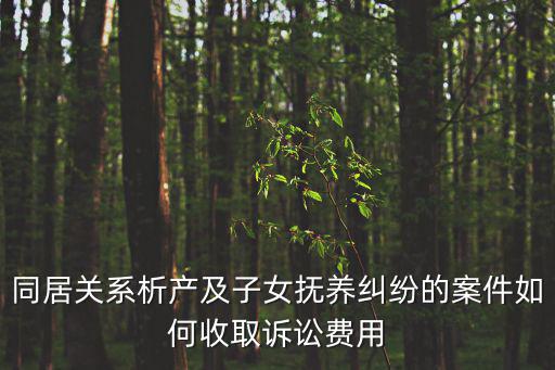 打析產(chǎn)官司大約要多少錢，同居關系析產(chǎn)及子女撫養(yǎng)糾紛的案件如何收取訴訟費用