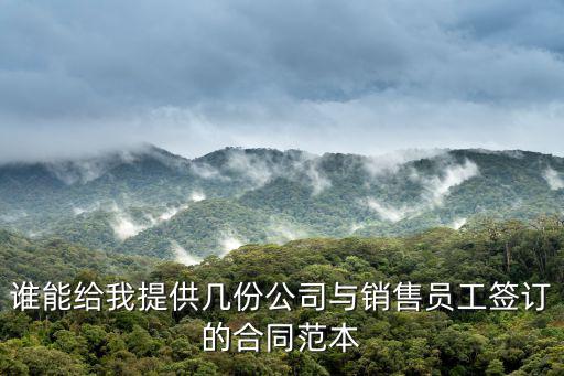 業(yè)務(wù)員銷售協(xié)議簡(jiǎn)單合同范本，銷售合同范本如何寫