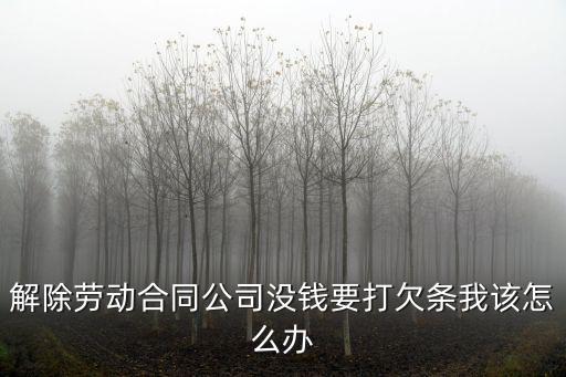 解除勞動合同公司沒錢要打欠條我該怎么辦