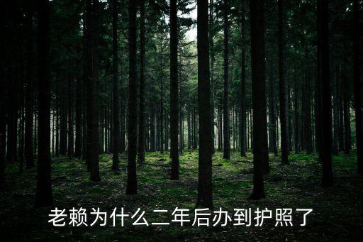老賴為什么二年后辦到護(hù)照了