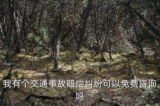 我有個(gè)交通事故賠償糾紛可以免費(fèi)咨詢嗎