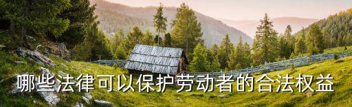 哪些法律可以保護(hù)勞動(dòng)者的合法權(quán)益