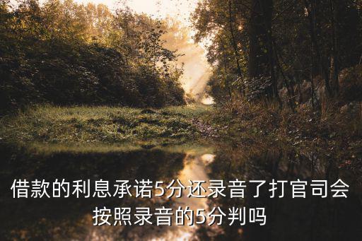 利息五分法院怎么判，借貸官司囗頭承諾月息五分但借條上只寫了月息二分法院會(huì)怎么判