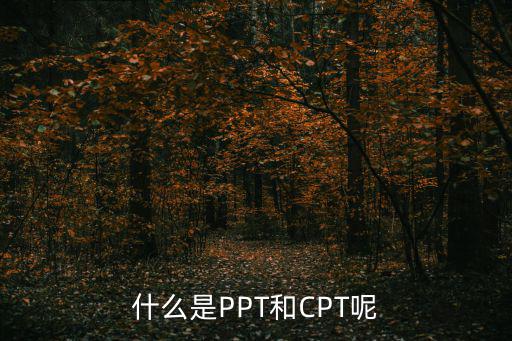 合同ppt，ppt軟件免費下載哪有