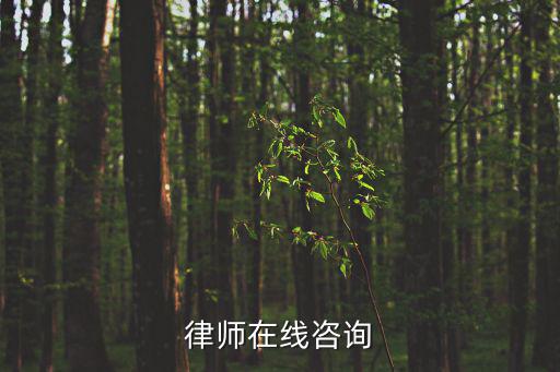 律師在線咨詢
