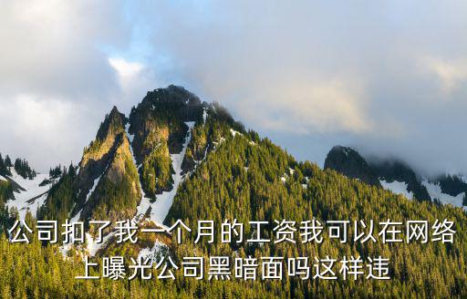 公司扣了我一個月的工資我可以在網(wǎng)絡(luò)上曝光公司黑暗面嗎這樣違
