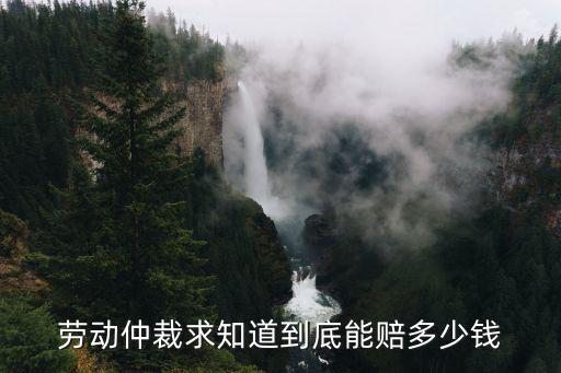 勞動(dòng)仲裁求知道到底能賠多少錢