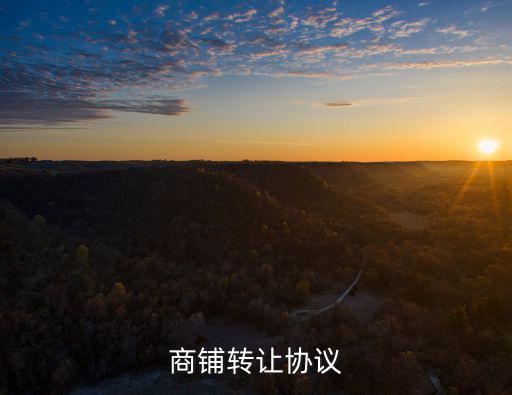 轉(zhuǎn)讓店鋪協(xié)議，店面轉(zhuǎn)讓協(xié)議書(shū)樣本