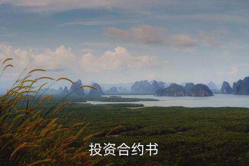 投資合約書(shū)