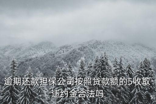 逾期還款擔(dān)保公司按照貸款額的5收取違約金合法嗎