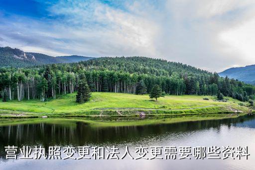 營(yíng)業(yè)執(zhí)照變更和法人變更需要哪些資料