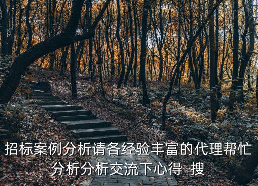 招標(biāo)案例分析請(qǐng)各經(jīng)驗(yàn)豐富的代理幫忙分析分析交流下心得  搜
