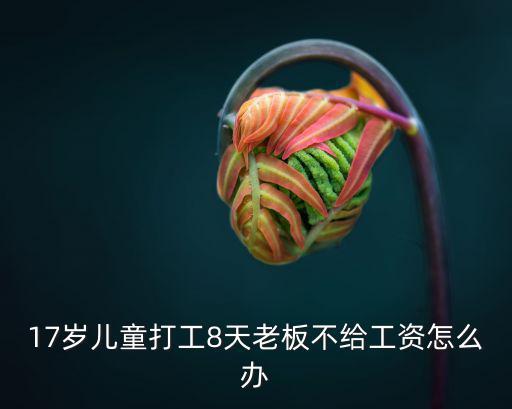 17歲兒童打工8天老板不給工資怎么辦
