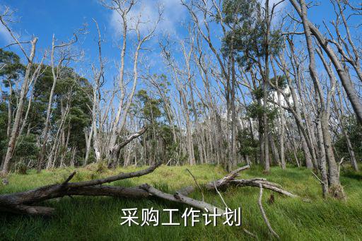 法律顧問采購工作方案，采購工作計劃