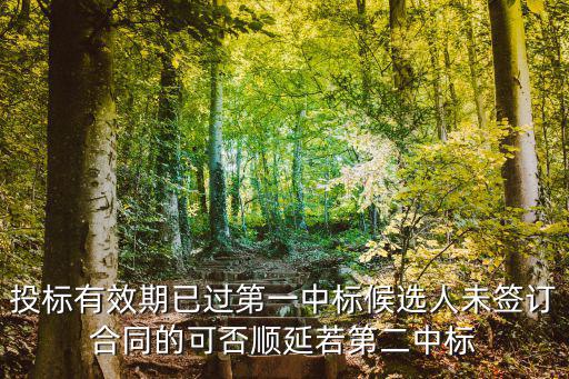 投標(biāo)有效期已過第一中標(biāo)候選人未簽訂合同的可否順延若第二中標(biāo)