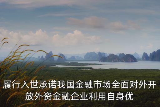 履行入世承諾我國金融市場全面對外開放外資金融企業(yè)利用自身優(yōu)