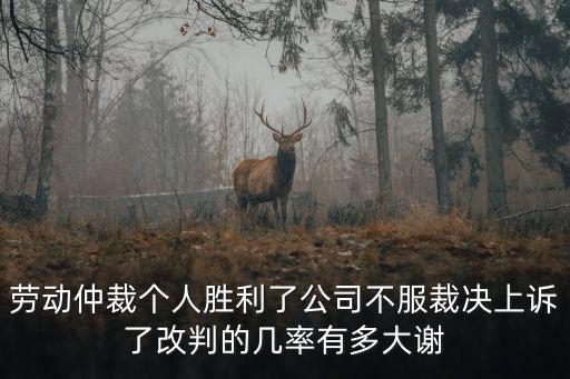 一審?fù)品瓌趧又俨玫母怕?，勞動仲裁贏了然后一審贏的幾率有多大