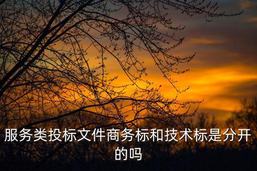 服務(wù)類投標(biāo)文件商務(wù)標(biāo)和技術(shù)標(biāo)是分開的嗎