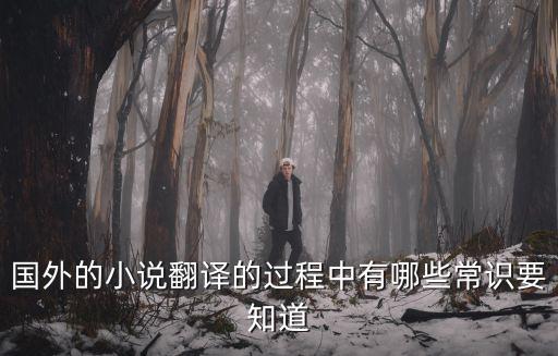 文學(xué)作品翻譯技巧，文學(xué)文件翻譯