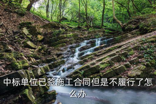 中標(biāo)單位已簽施工合同但是不履行了怎么辦