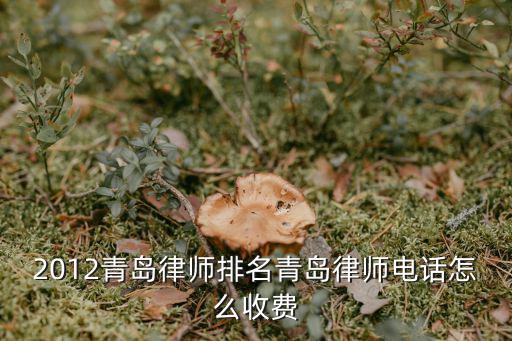 2012青島律師排名青島律師電話怎么收費(fèi)