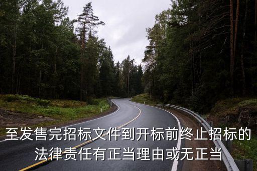 終止招標(biāo)的正當(dāng)理由，一個公司要想改變招標(biāo)結(jié)果 使招標(biāo)無效的適當(dāng)理由或者措施有哪些